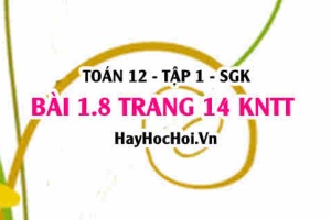 Bài 1.8 trang 14 Toán 12 tập 1 Kết nối tri thức